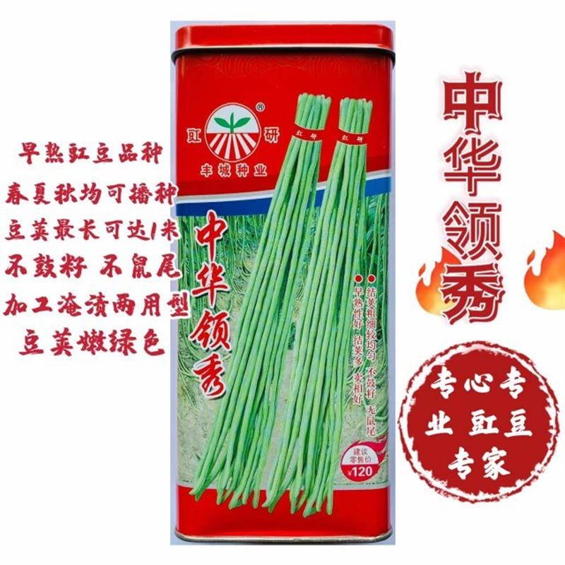 中华领秀豇豆种子 嫩绿色条粗肉厚耐老化春秋豆角菜豆种子蔬菜籽