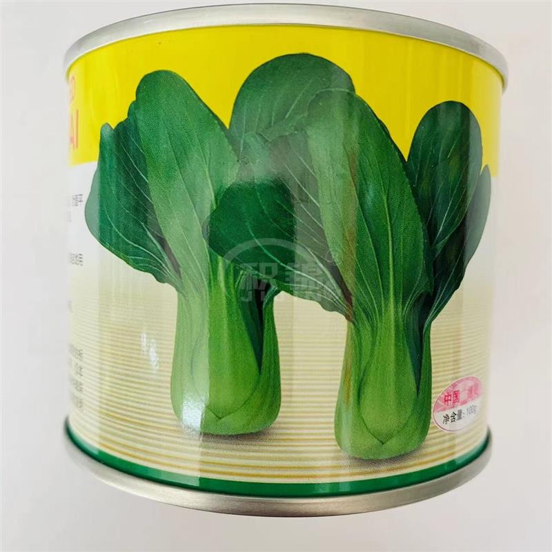 德高绿海青梗菜蔬菜种子上海青青菜夏季耐热耐寒小白菜种子四季播
