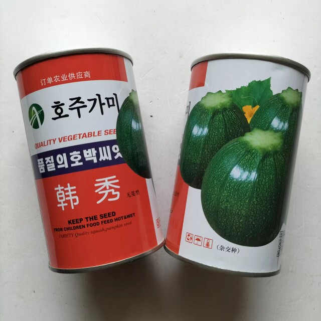 澳加美韩秀西葫芦种子杂交极早熟高椭圆形菜瓜无蔓型小南瓜种籽