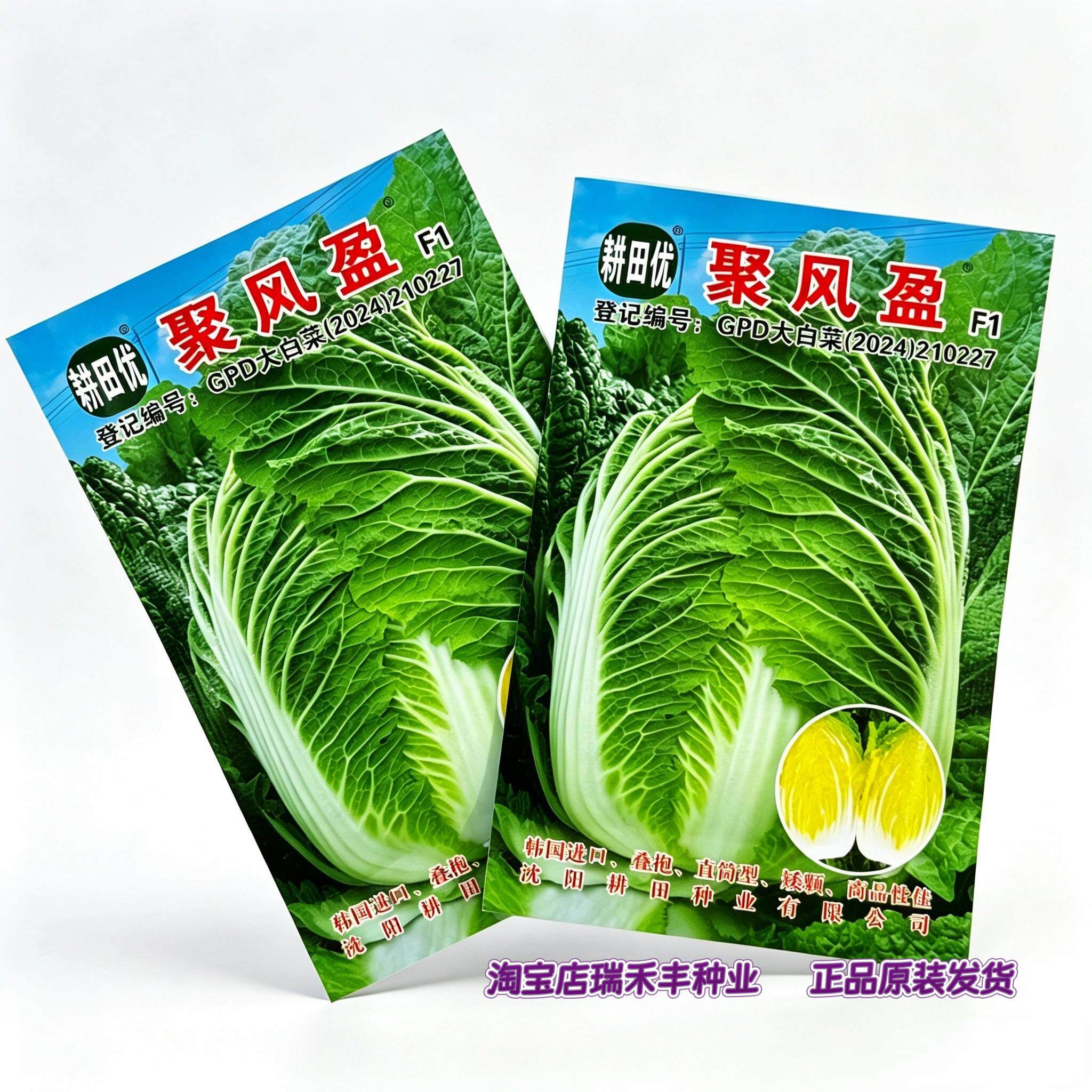 韩国进口聚风盈大白菜种