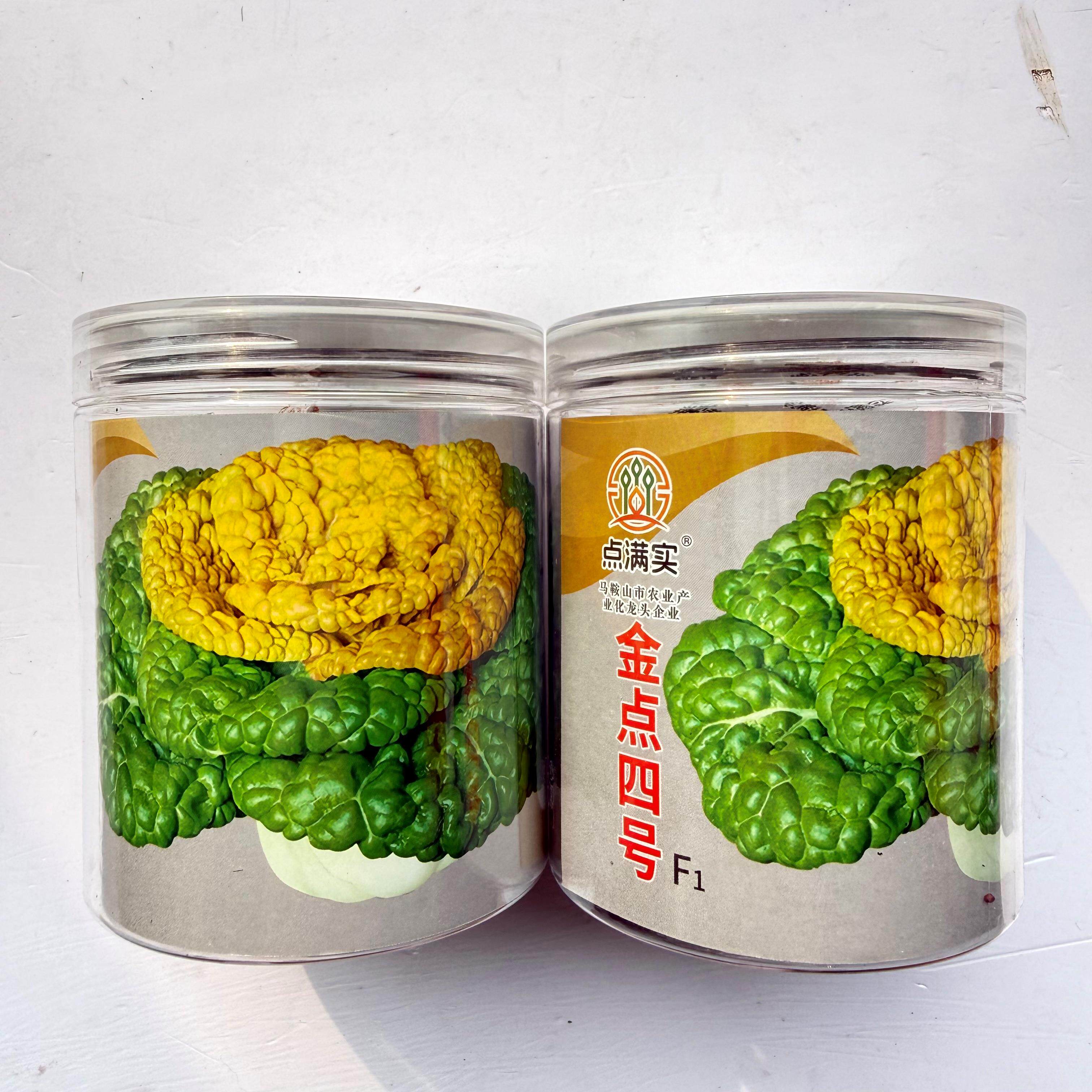金点四号乌塌菜种子黄心