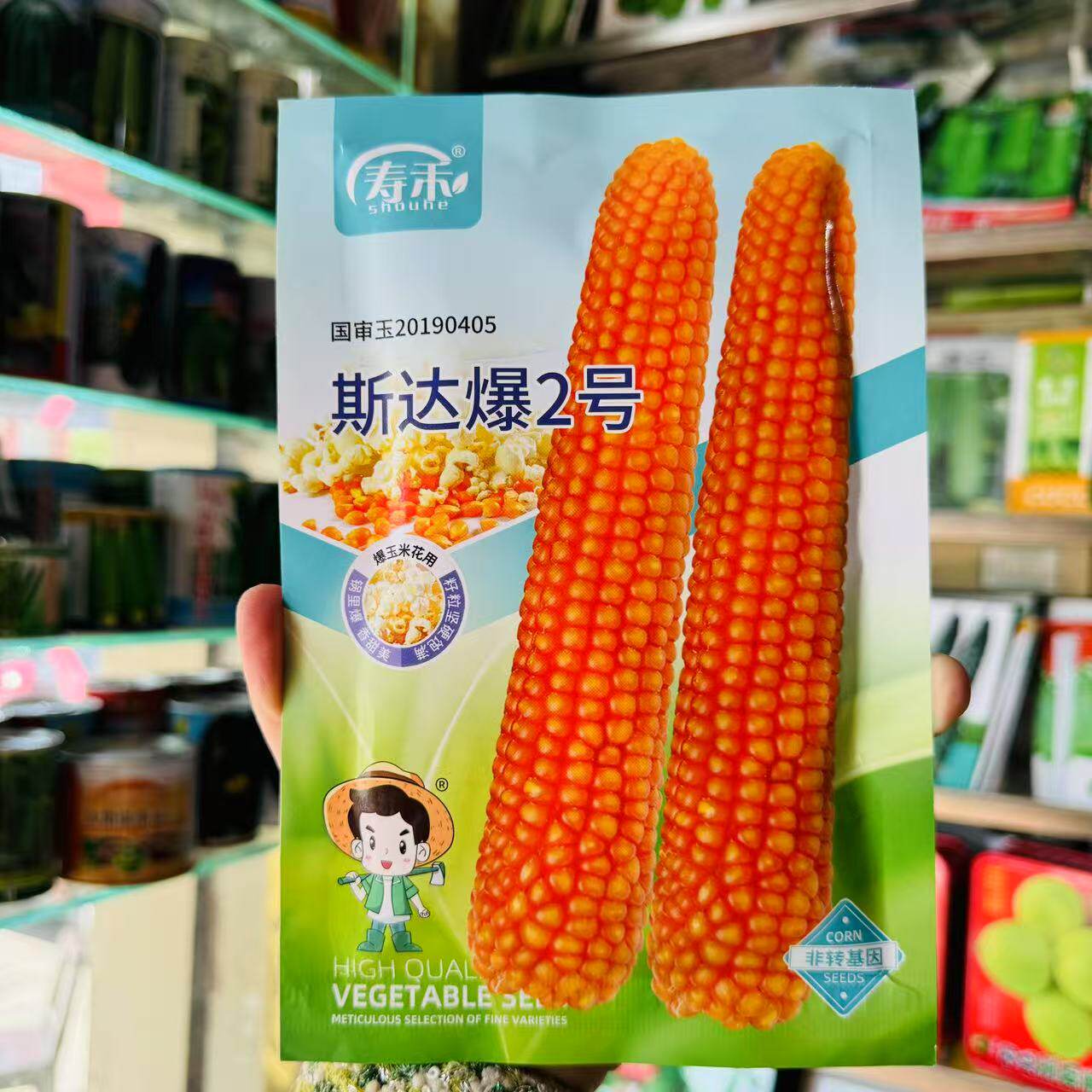 爆米花玉米种子种籽专用