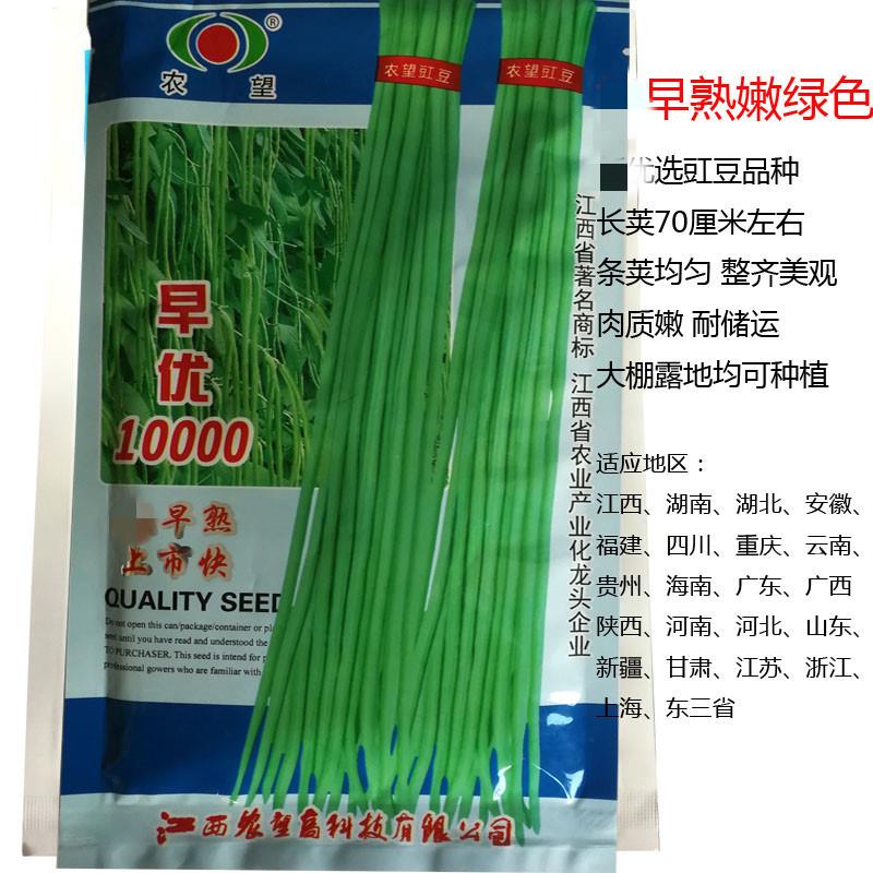 春季秋季豇豆种子耐热长豇豆种孑农望早优10000大棚菜园豆角种籽