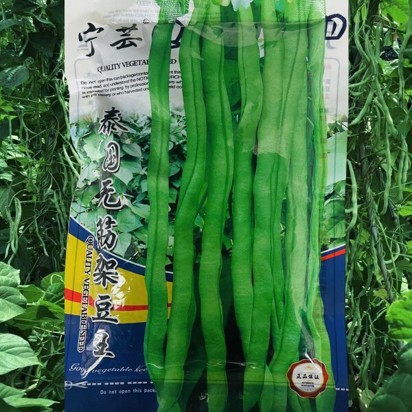 泰国无筋架豆王豆角种子中熟高产豇豆四季豆蔬菜籽 罐装 春秋播
