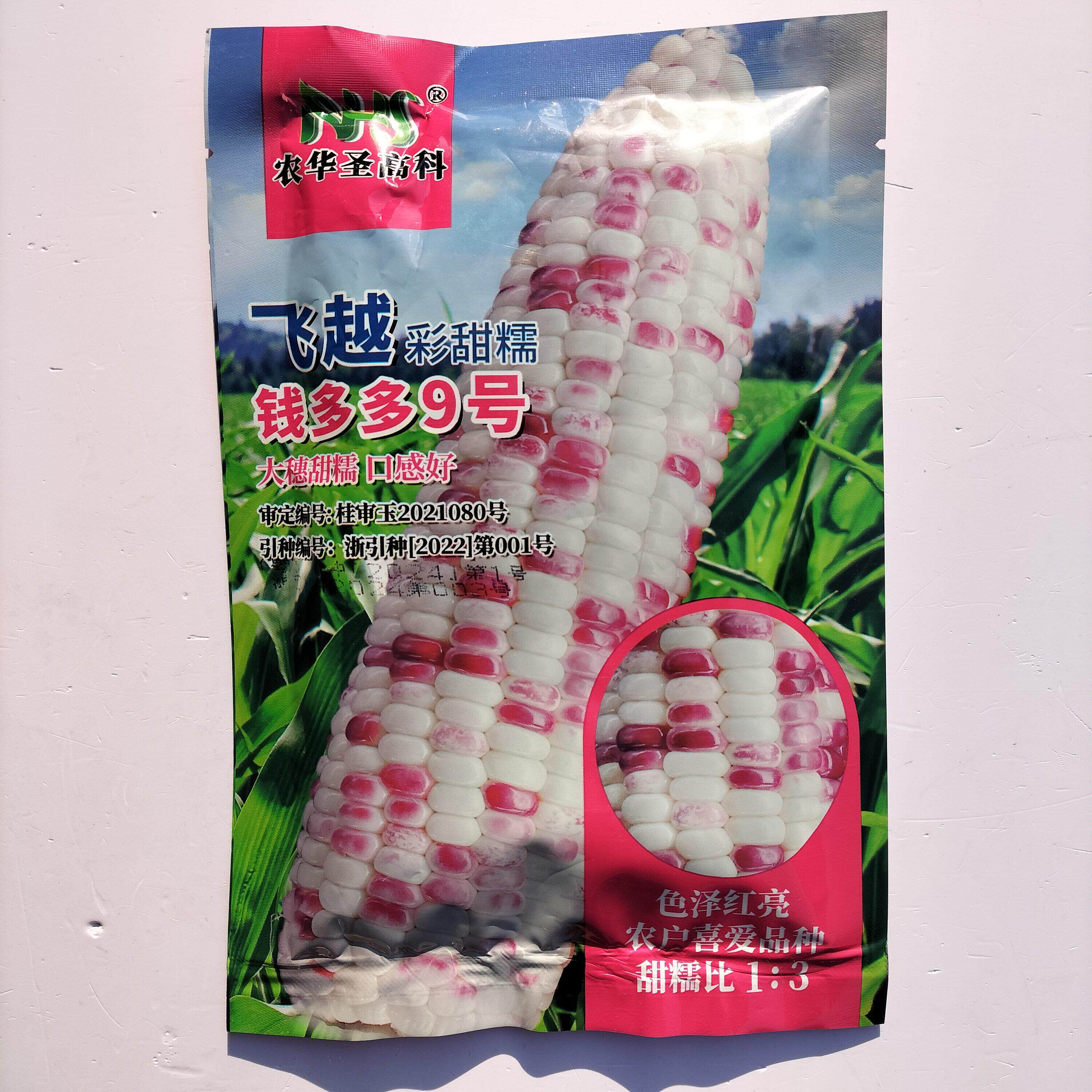 飞越彩甜糯钱多多9号玉米