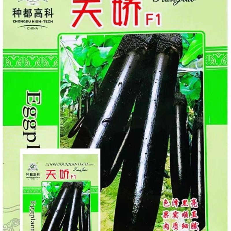 种都高科天娇F1紫红长茄种子早熟高产田园阳台盆栽四季种植茄子