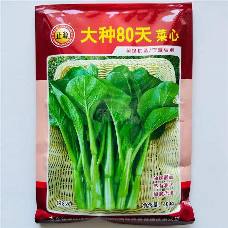大种80天菜心种子高产抗病迟熟甜脆无渣粗条菜苔种籽四季蔬菜种孑