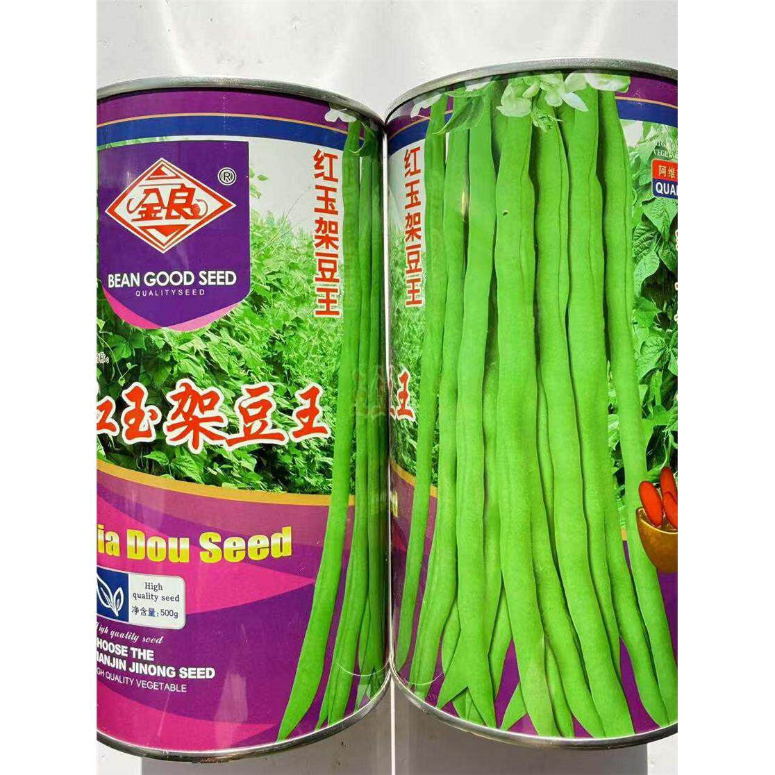 红玉架豆王种子四季豆抗