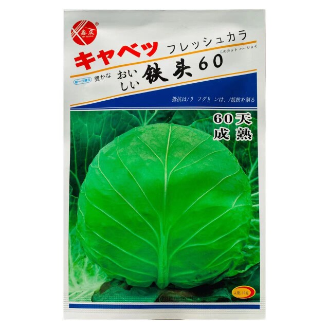 日本铁头 60天绿圆球形甘蓝种子叶球紧实耐裂球 莲花白种子
