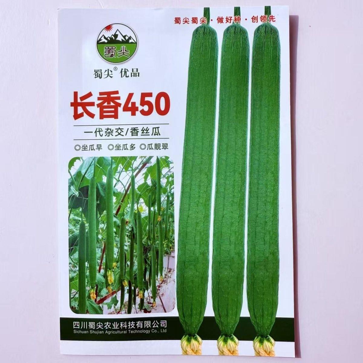 长香450丝瓜种子特长丝瓜绿丝瓜早熟高产香丝瓜种籽