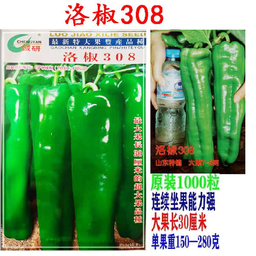 洛椒308 特大果牛角辣椒种子薄皮青椒菜椒泡椒种籽孑早熟诚研正品