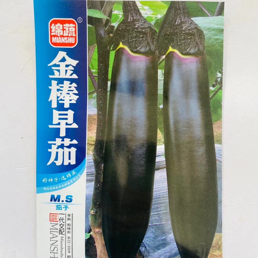 绵蔬金棒早茄种子 早熟紫黑墨茄子种籽杂交油亮长茄子蔬菜子包邮