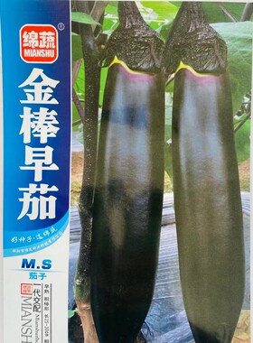 绵蔬金棒早茄种子 早熟紫黑墨茄子种籽杂交油亮长茄子蔬菜子包邮