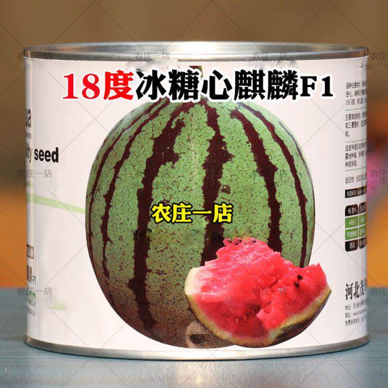 18度麒麟西瓜种籽冰糖8424种子种孑特大早熟抗病春季四季大田专用