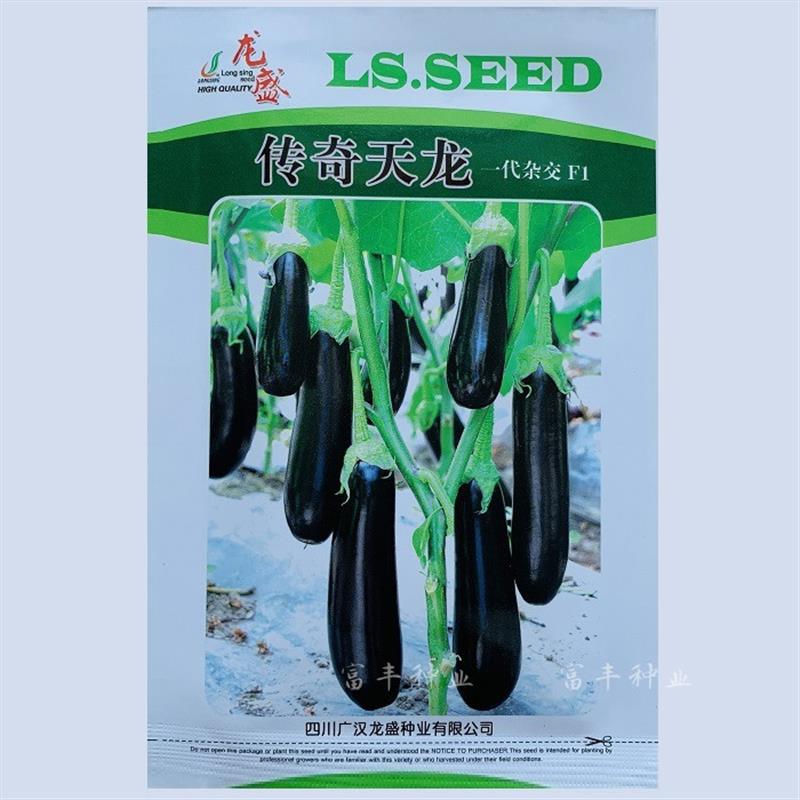 传奇天龙茄子种子早熟杂交绿萼油黑茄子种籽抗病丰产越冬春秋大棚