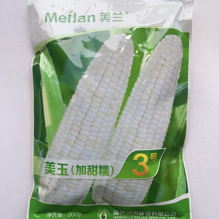 美玉加甜糯3号玉米种子甜糯玉米种子优质稳产型加甜糯玉米种子