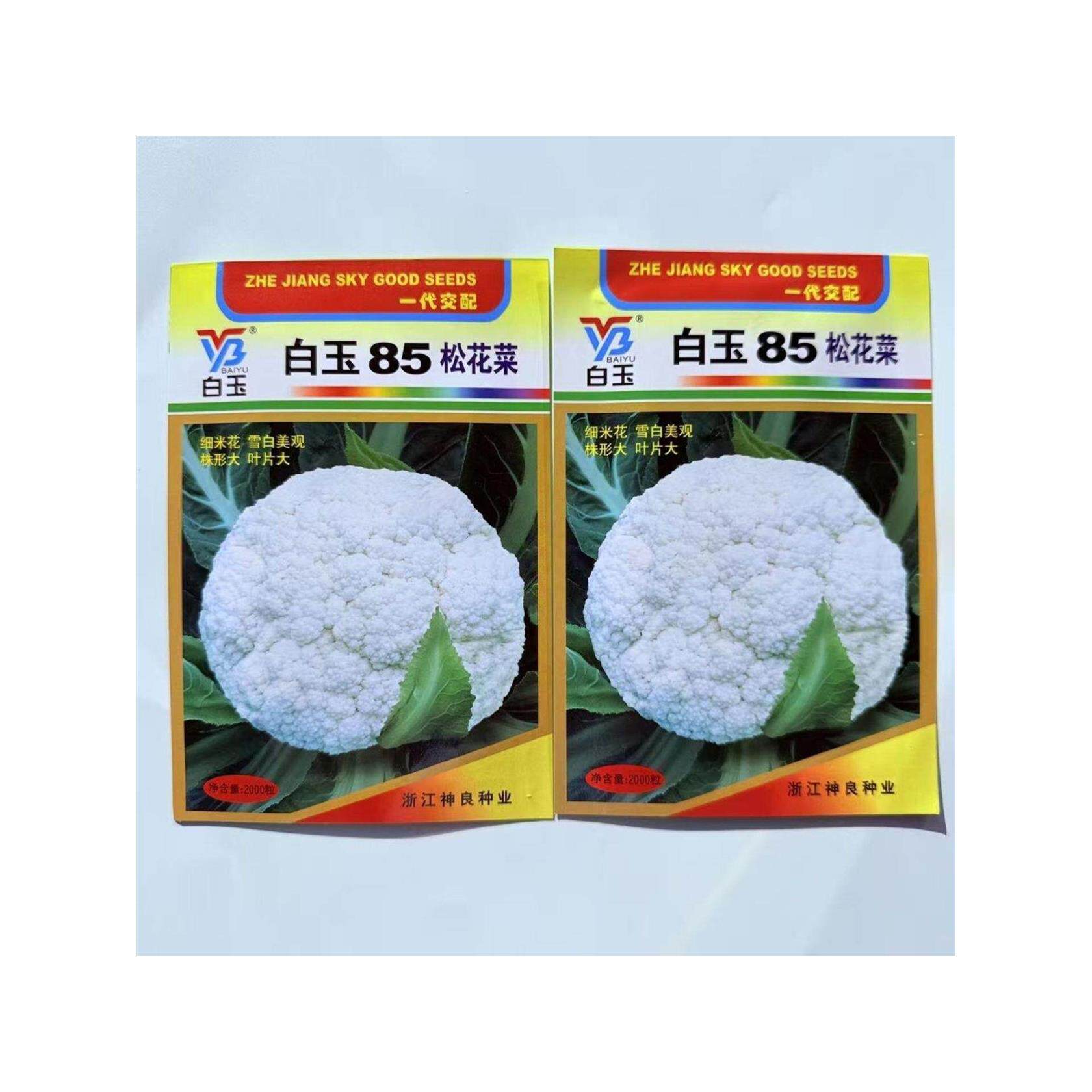 神良白玉85中熟松花菜种