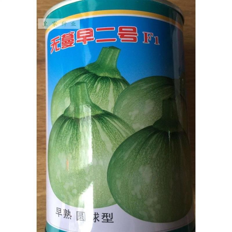 无蔓早二号F1 无蔓南瓜种子早熟嫩瓜 瓜皮浅绿早秀南瓜种子包邮