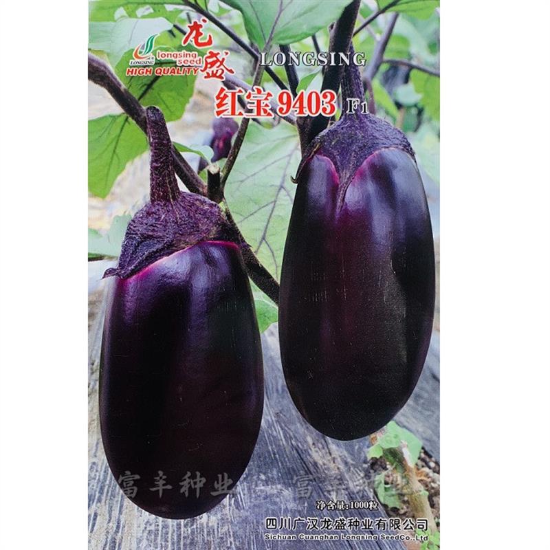 龙盛红宝紫茄子种子早熟紫红灯泡型紫罐茄种籽春秋季大棚露地种