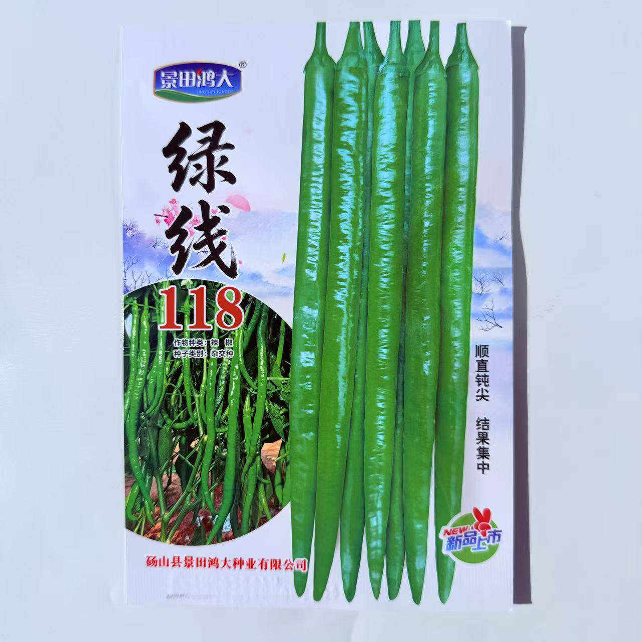 绿线118辣椒种子早熟高产