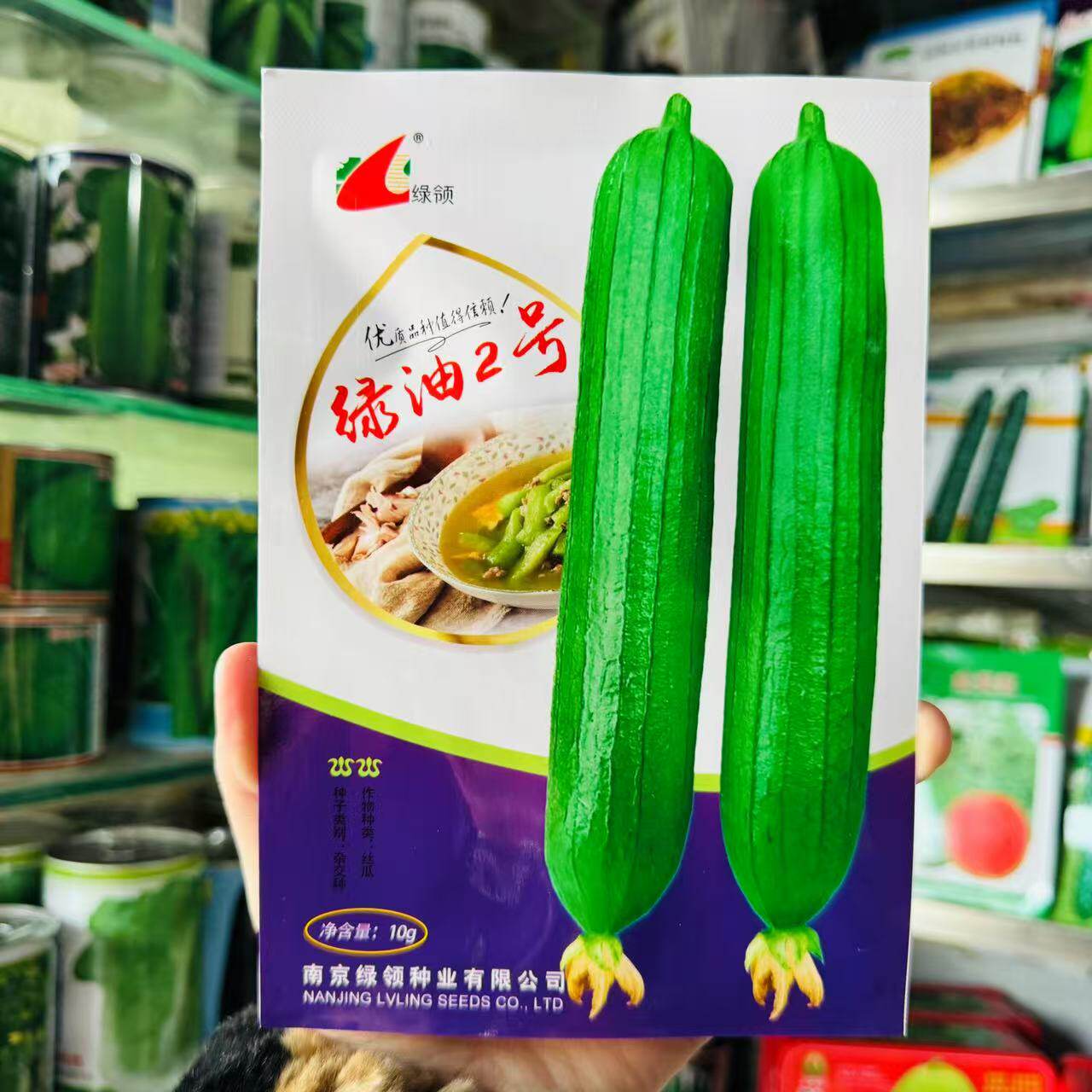 绿油2号短油皮丝瓜种籽高