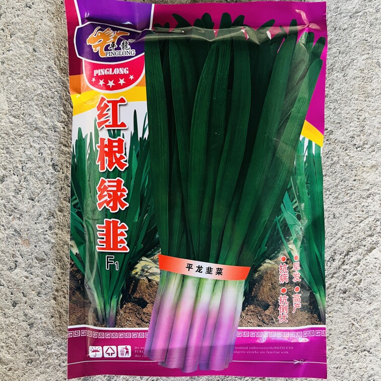 平龙红根绿韭韭菜种子红韭菜抗寒早春露地种植休眠春早发韭菜种籽