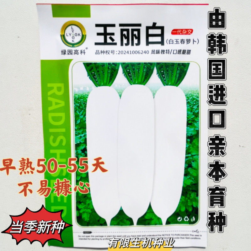 玉丽白白萝卜种子早夏秋