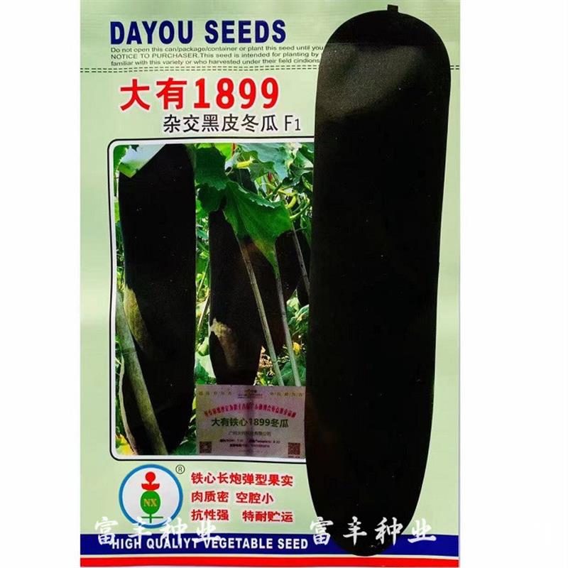 大有1899铁柱杂交黑皮冬瓜种子铁心长炮弹形墨绿色大冬瓜种子抗病
