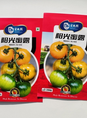 阳光蜜露新一代无限生长黄色番茄种子果实高圆无绿肩番茄基地