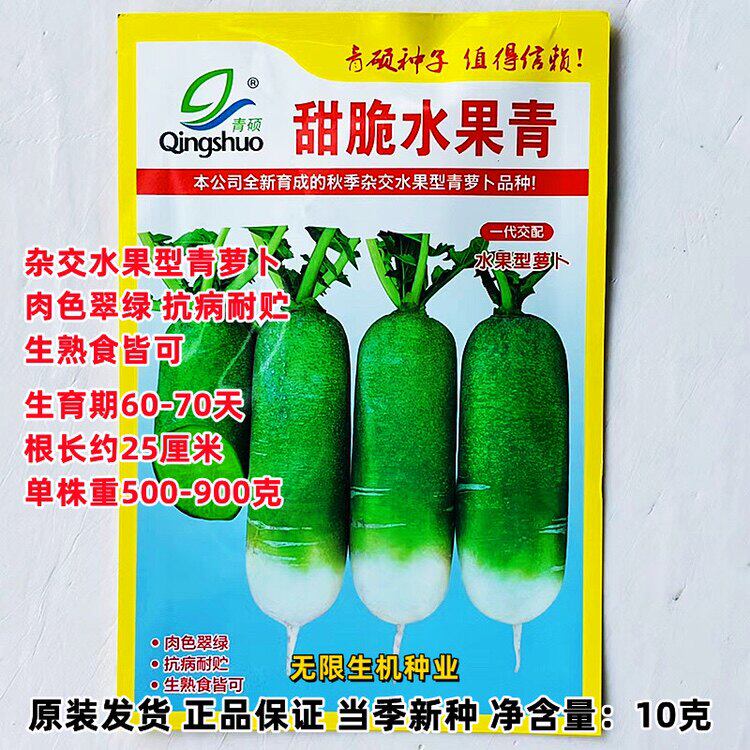 甜脆水果青萝卜种子沙窝