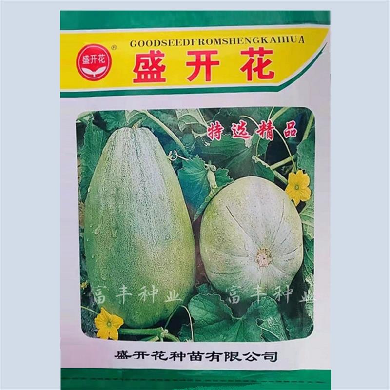浪潮改良盛开花甜瓜种子绿皮绿肉香瓜种籽早熟高产春秋季水果种孑