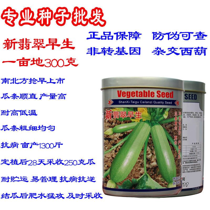 新翡翠早生西葫芦种子春夏秋四季播耐寒耐高温南北方早熟西葫种孑