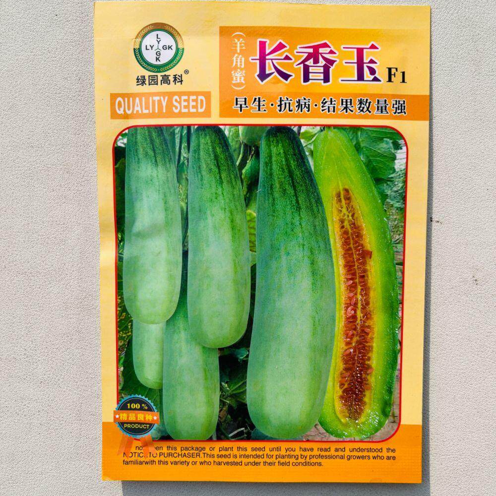 长香玉羊角蜜甜瓜种子正宗耐热酥脆薄皮香瓜种籽春季夏季播种