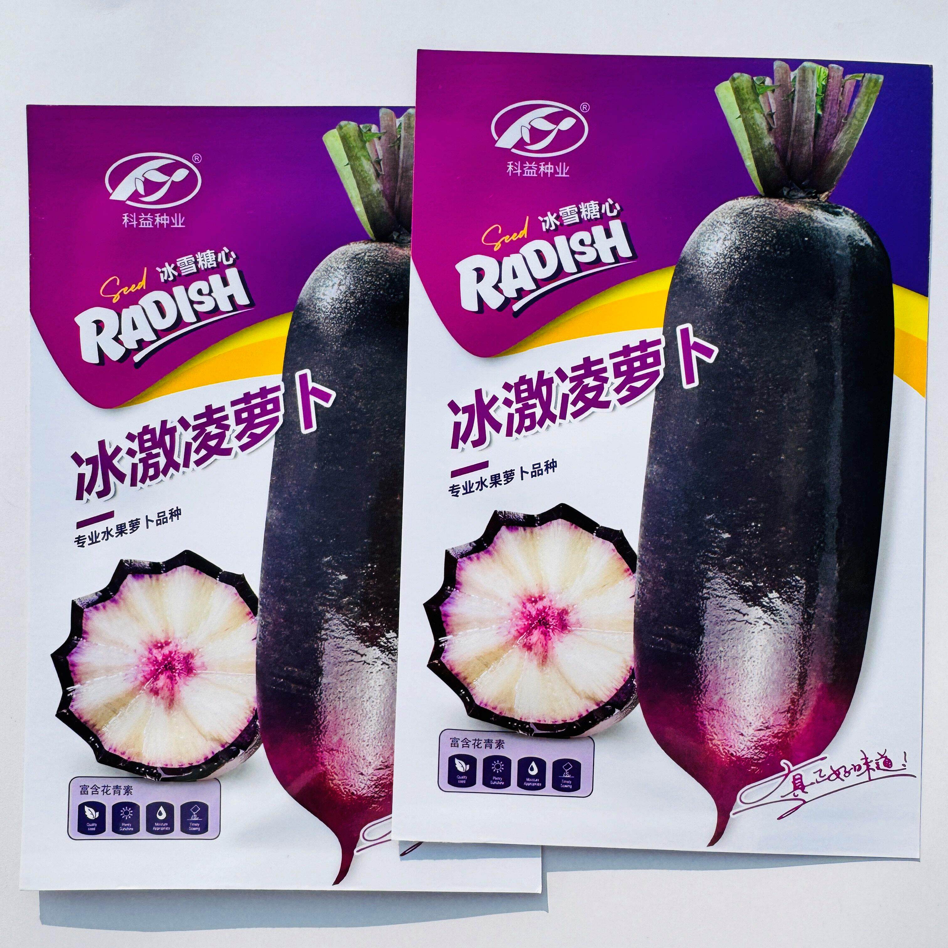 科益冰激凌萝卜种子冰雪