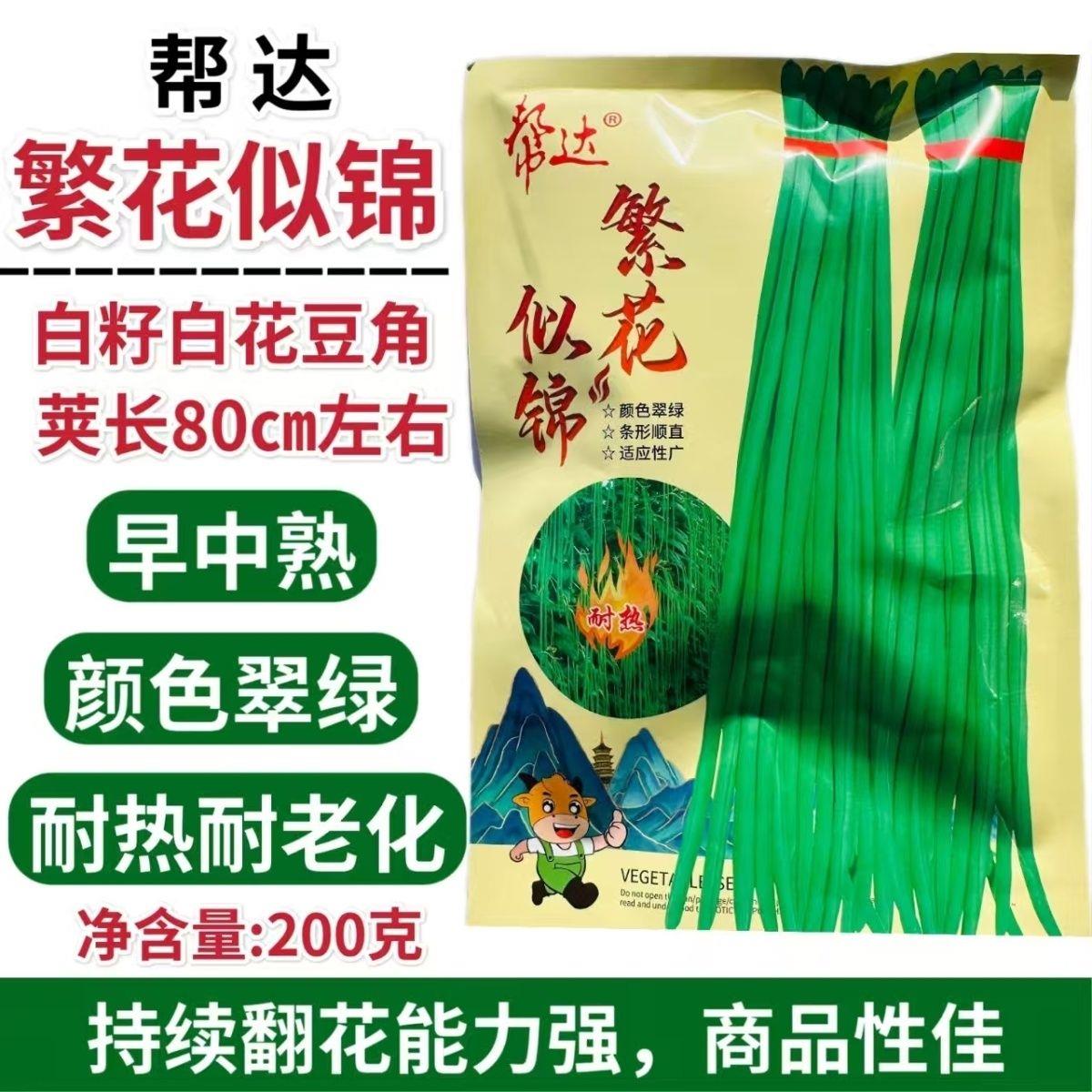繁花似锦白籽白花翠绿豇豆种子长豆角种子肉质较厚耐老化春秋种植