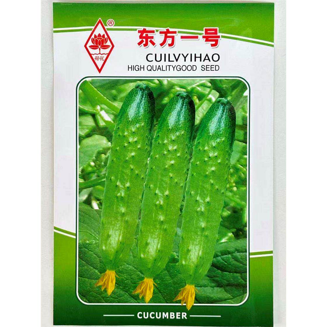 东方一号水果黄瓜种子早