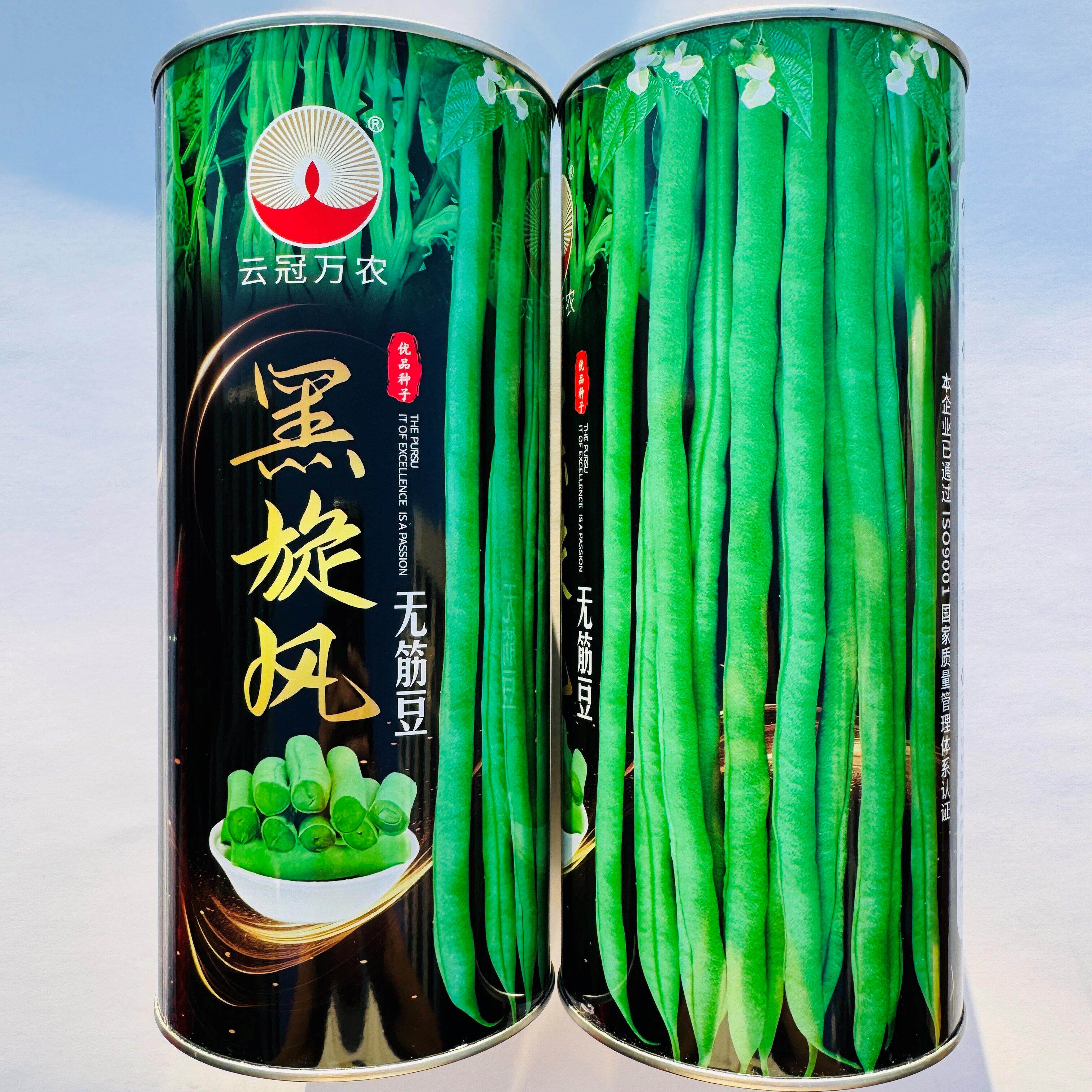 云冠黑旋风无筋豆种子中
