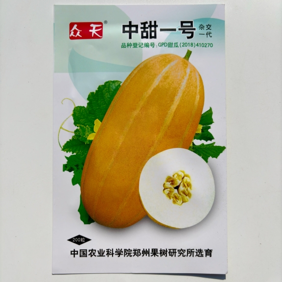 中甜一号黄金道黄皮香瓜种籽黄金蜜甜瓜种子超甜脆早熟高产耐低温