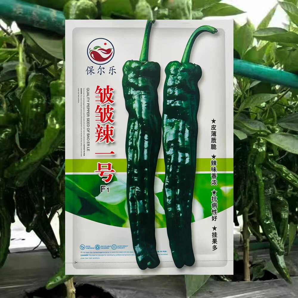 皱皱辣一号小羊角辣椒种子杂交品种早熟果皮薄,辣味强烈,种子