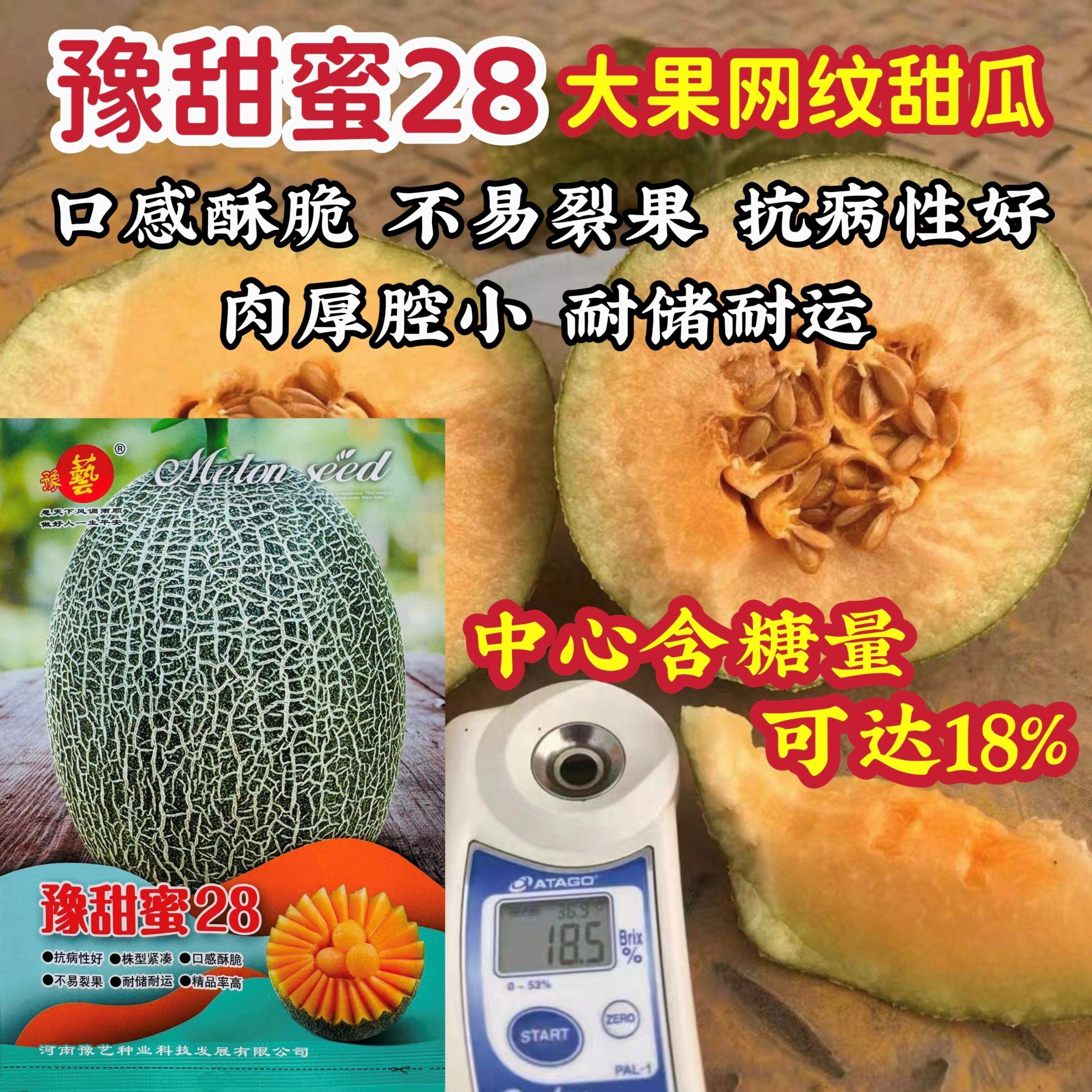豫甜蜜28甜瓜种子网纹口