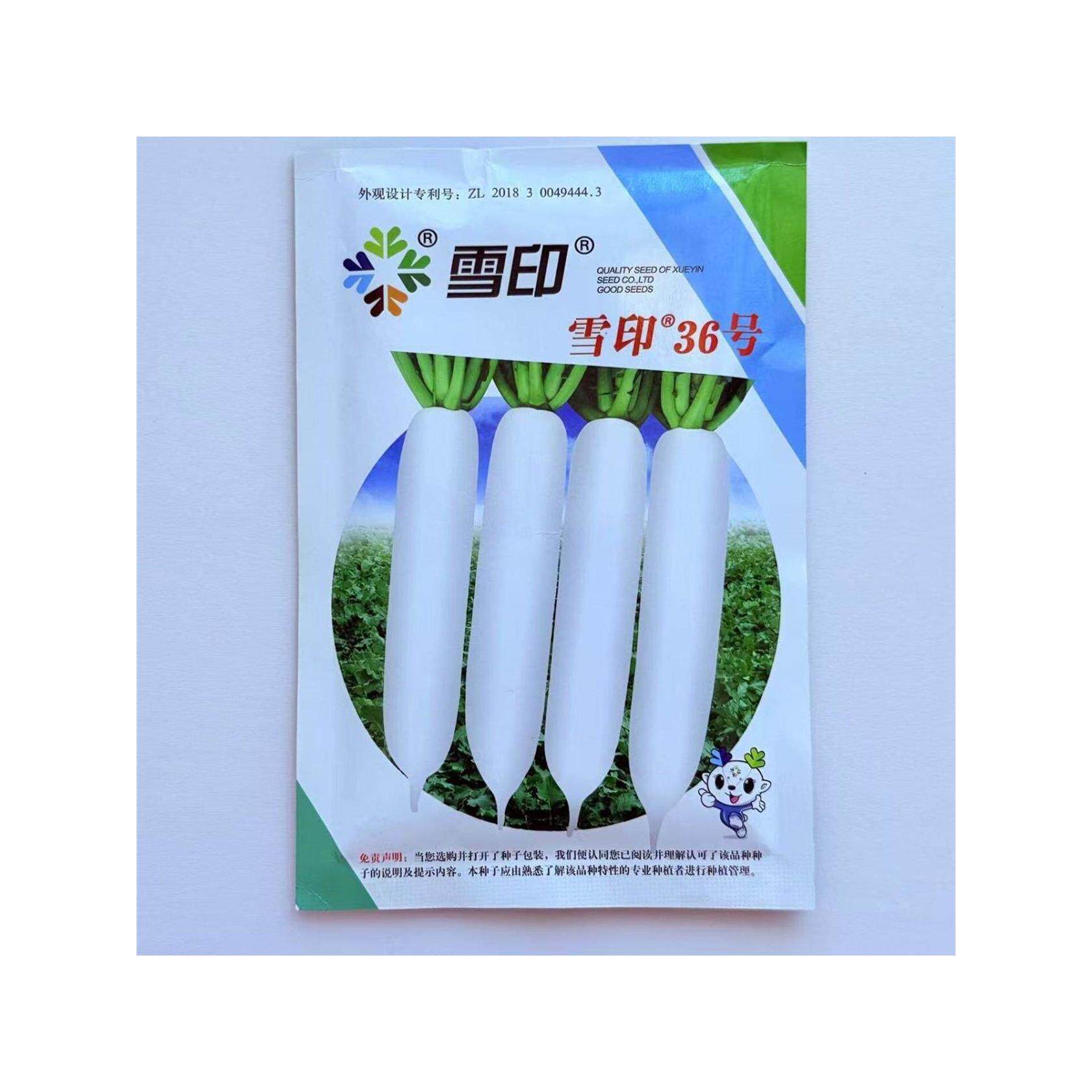 雪印36白萝卜种子根皮白