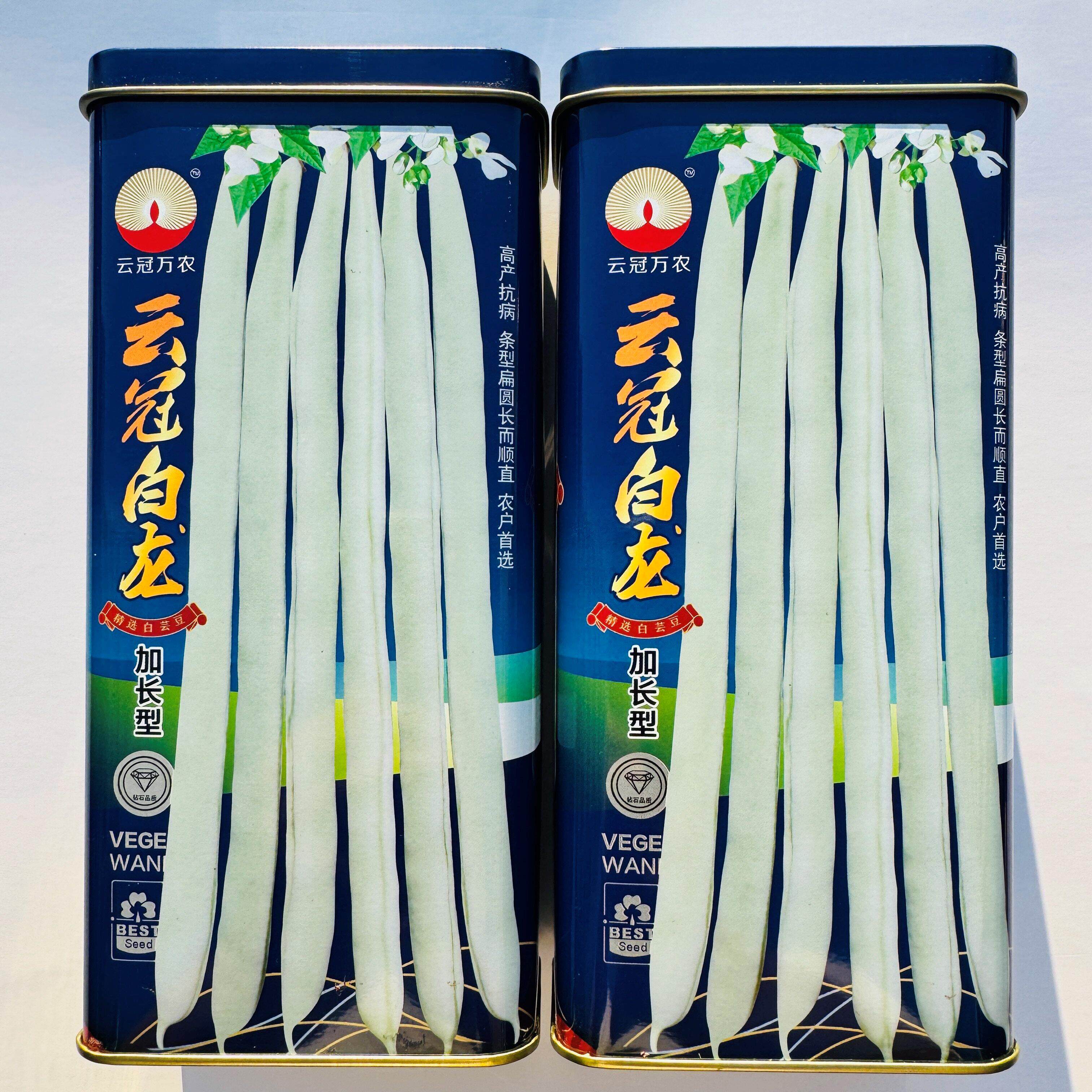 云冠白龙加长型白芸豆种