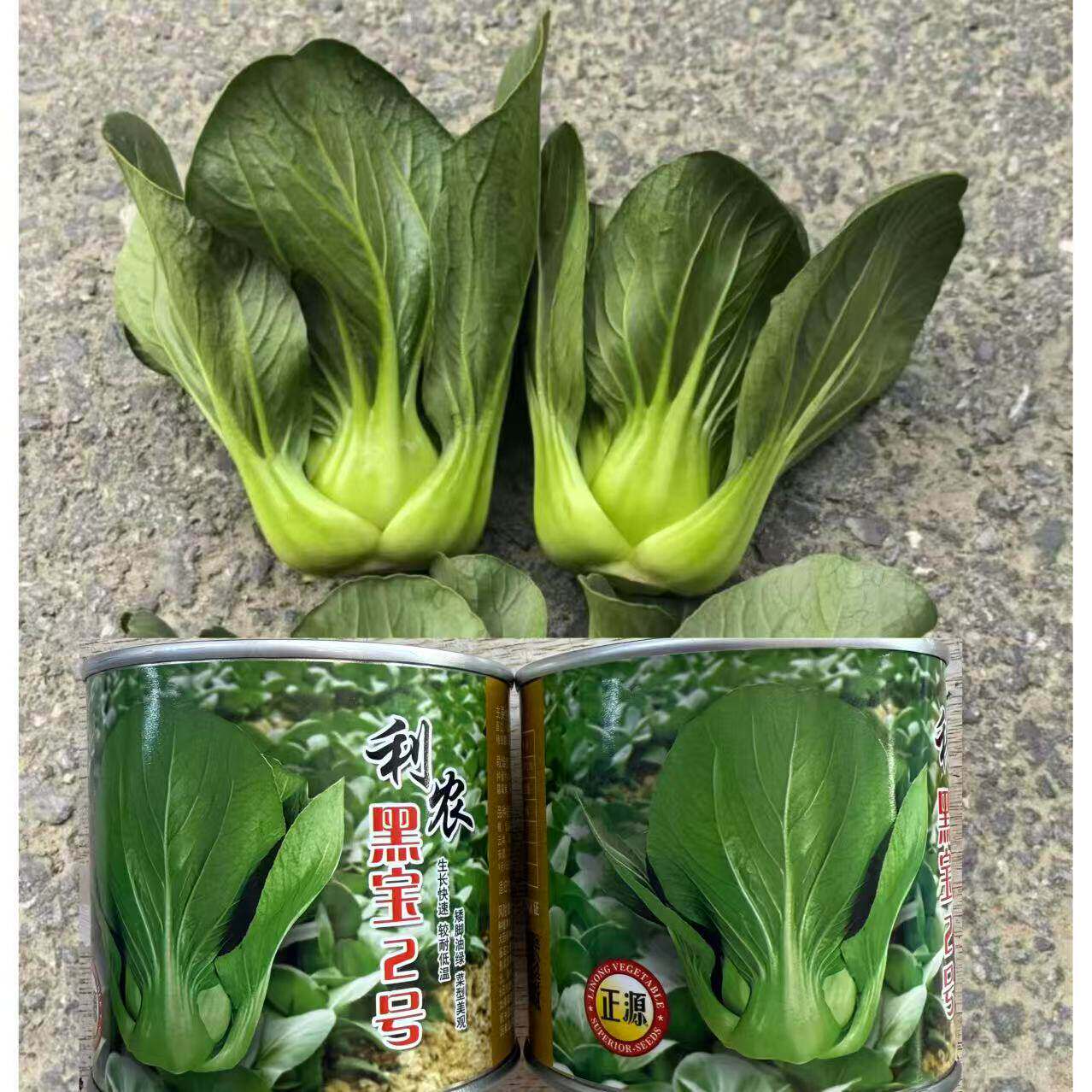 利农黑宝2号杂交黑叶青梗