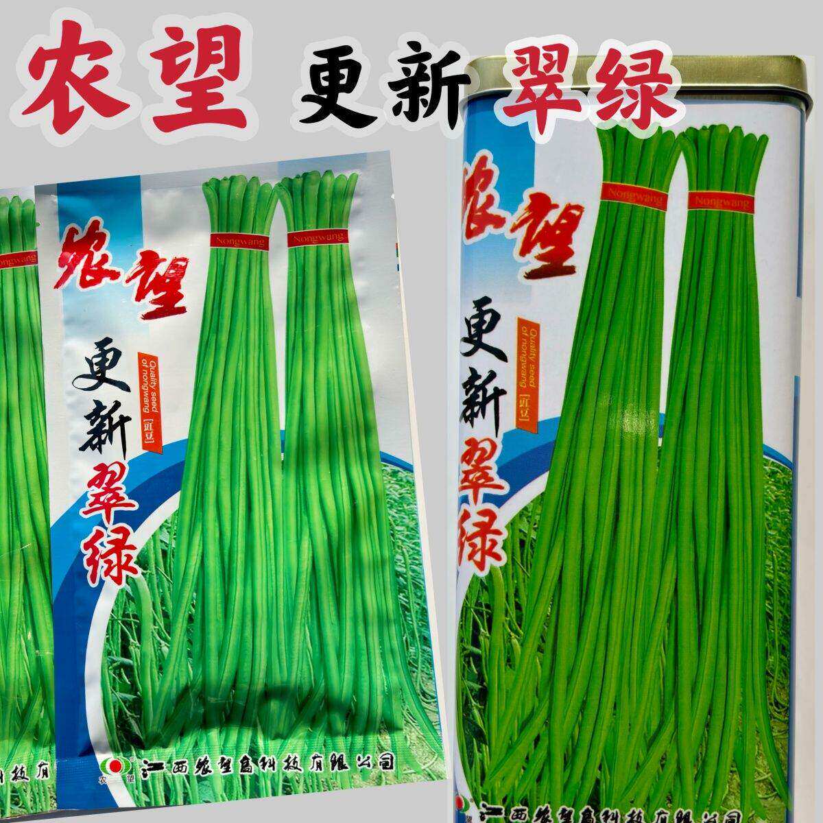 更新翠绿豇豆种子早中熟