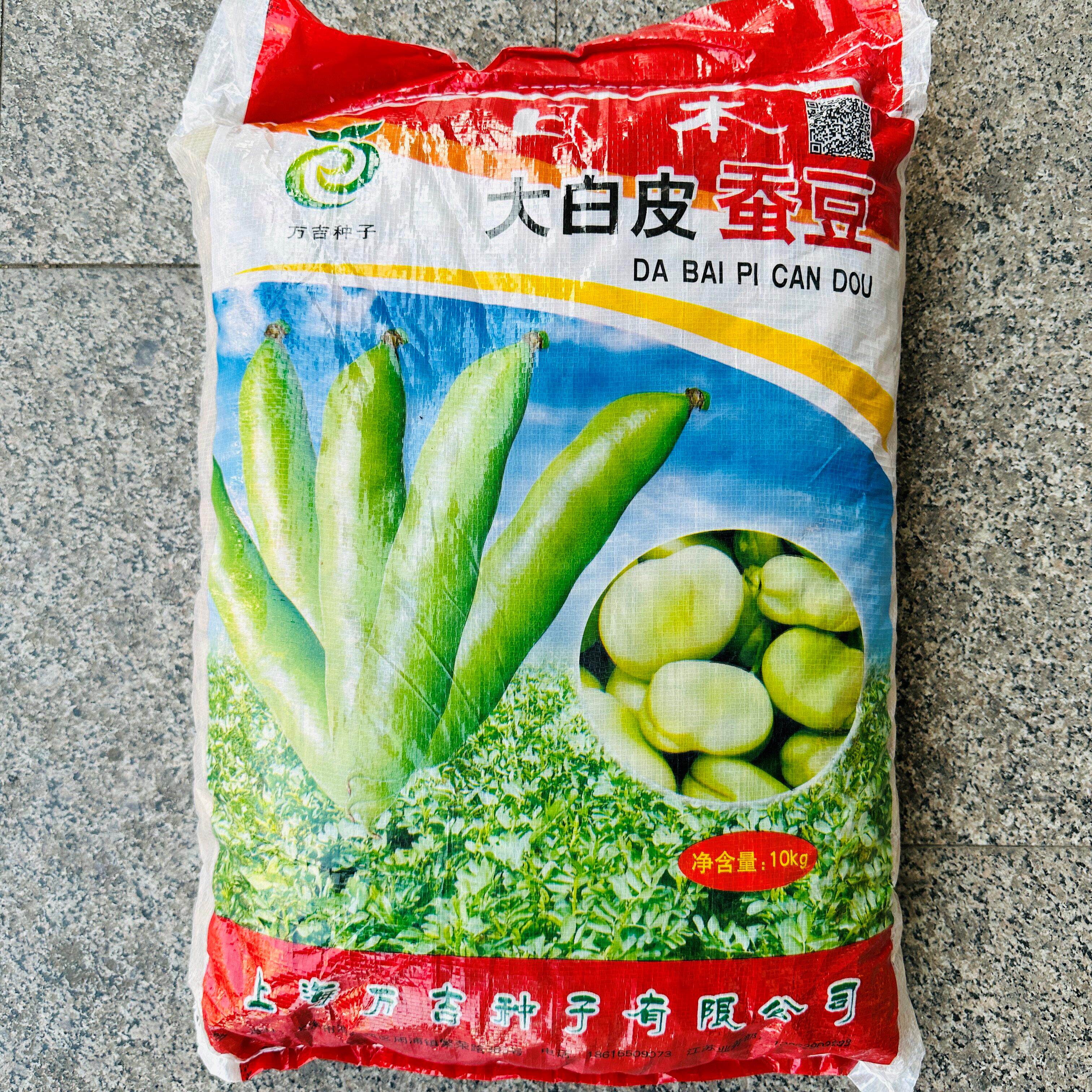 原装蚕豆种子大白皮籽罗