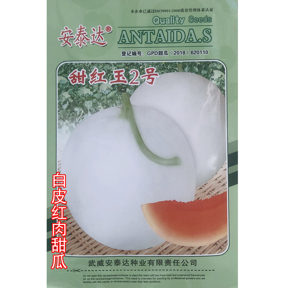 甜红玉2号早熟白皮红肉甜瓜种子单果重1.2千克肉质酥脆清爽甜口