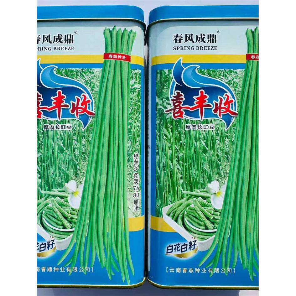 喜丰收长豇豆种子白花白
