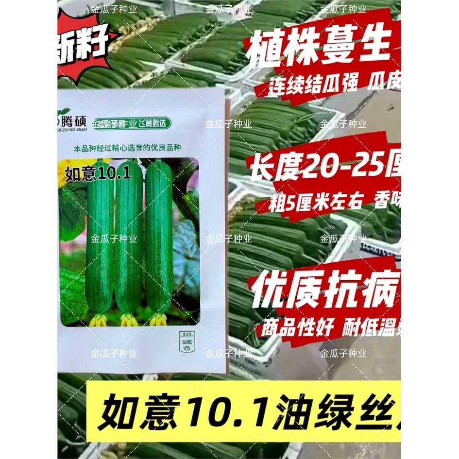 如意101丝瓜种子杂交短棒