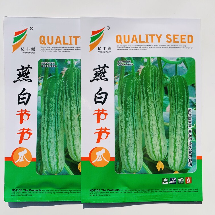 极早熟黄瓜种子科光燕白黄瓜杂交绿白色耐寒耐阴越冬早春黄瓜种子