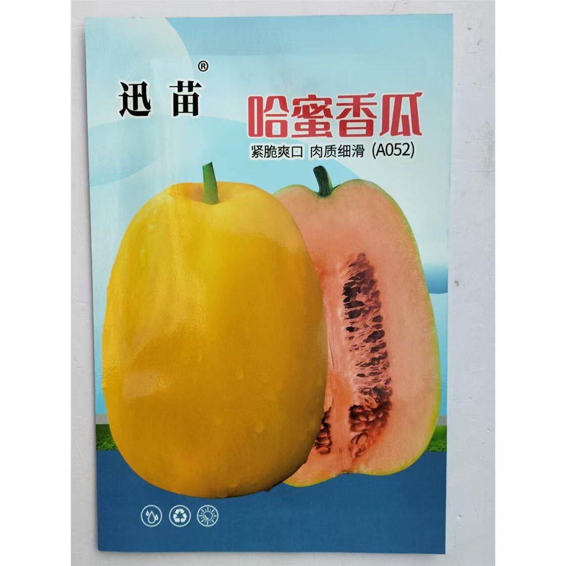 哈密香瓜种子早熟薄皮高